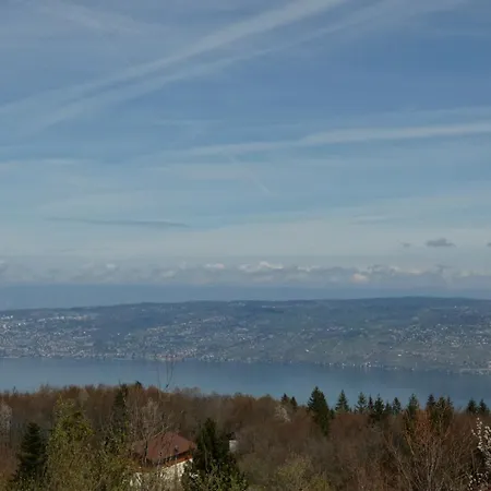 Studio Yeti Immobilier Apartment Thollon-les-Memises