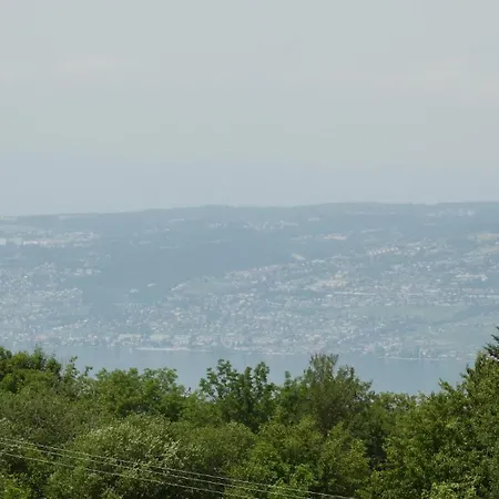Studio Yeti Immobilier * Thollon-les-Memises